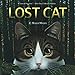 Lost Cat