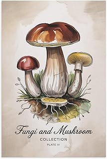 Boletus Edulis Porcini Mushroom Botanical Poster with Elegant Vintage Scientific Encyclopedia Artwork Print Poster Unframe-style 20x30inch(50x75cm)