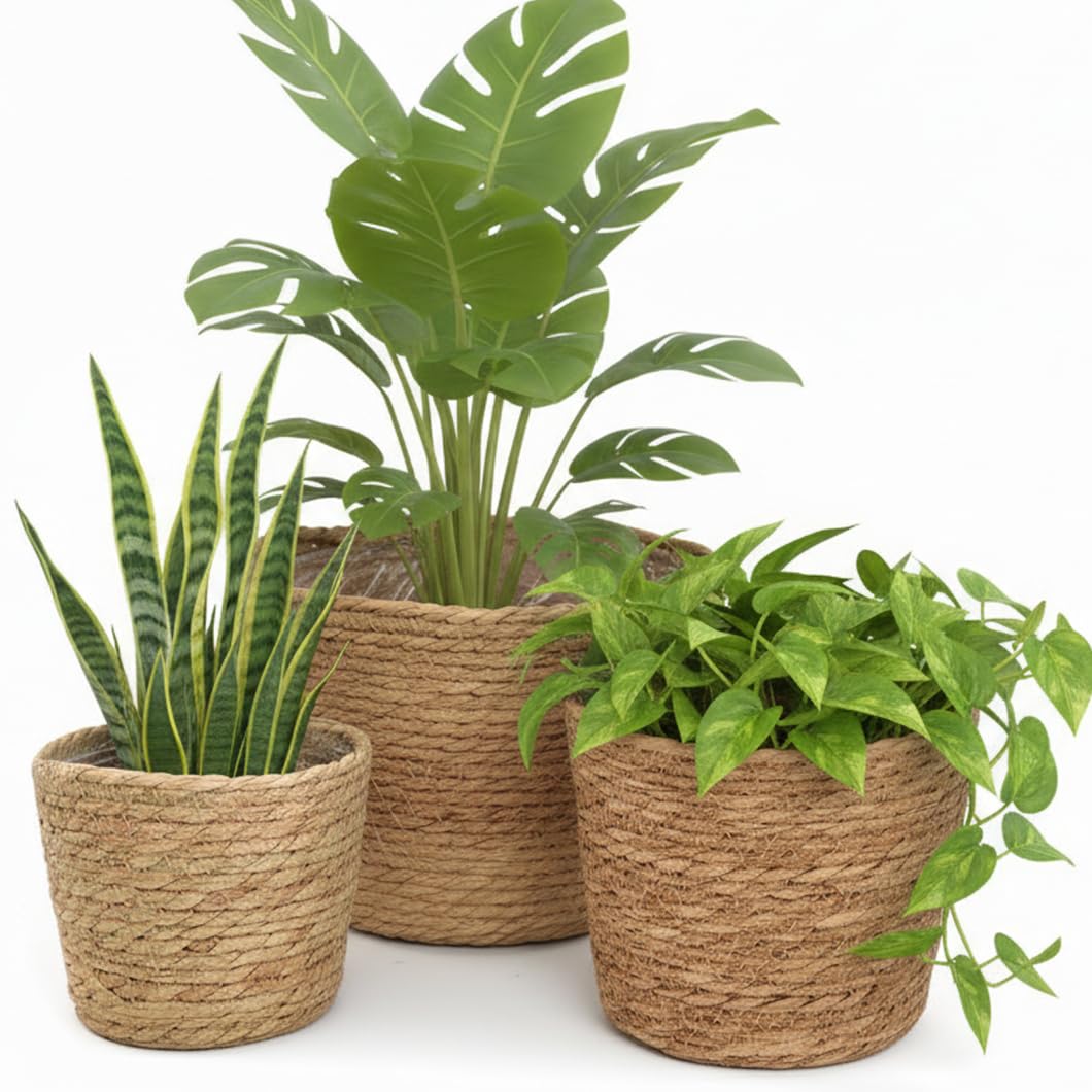 Latemeia 3-Piece Wicker Plant Pot, Handwoven Seagrass Plant Basket with Plastic Liner for Indoor Plants, Decorative Storage & Planter Cover for Home, Kitchen, Patio, Indoor Outdoor