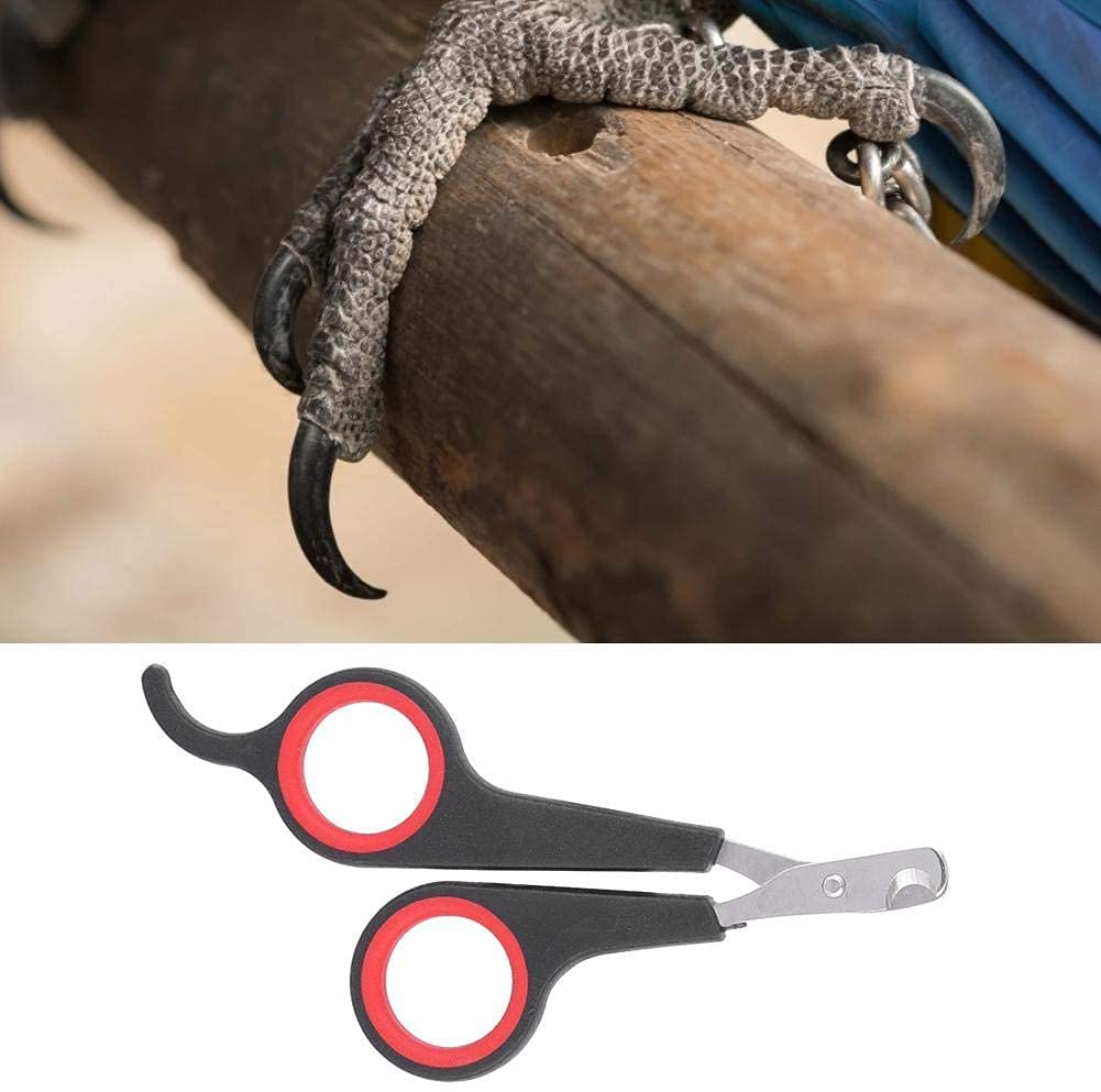 Ciseaux à Ongles pour Animaux de Compagnie Chien Chat Coupe-Ongles Oiseau Perroquet Griffe Tondeuse Professionnel Petits Animaux Outil de toilettage des onglesUtile et Attrayant.