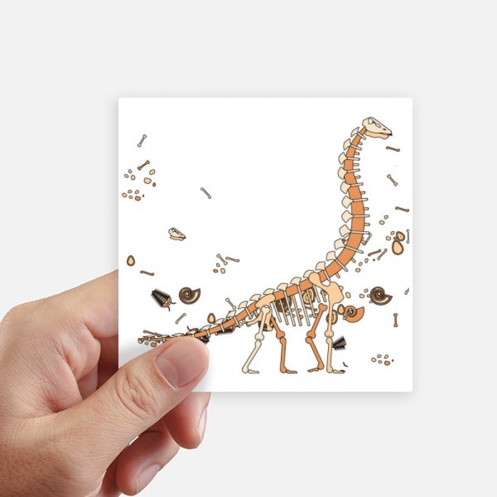 Herbe de Dinosaure énorme os autocollant sticker décalcomanie carré multicolore 8 unités