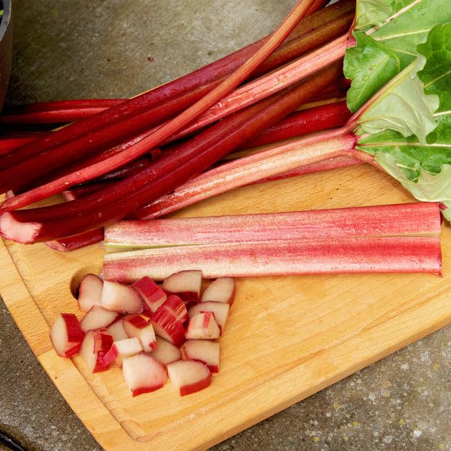 CRIMSON RED RHUBARB SEEDS-300 Seeds-image-0