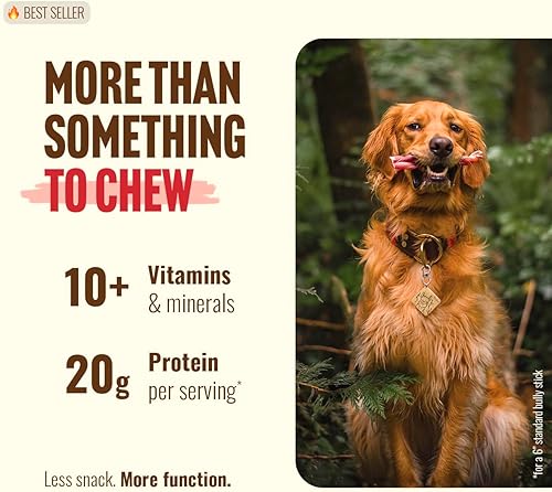 Miniatura 5 de Natural Farm Bully Sticks Jumbo sin olor (12 pulgadas, paquete de 5), masticables extra gruesos para perros, golosinas de carne 100% totalmente