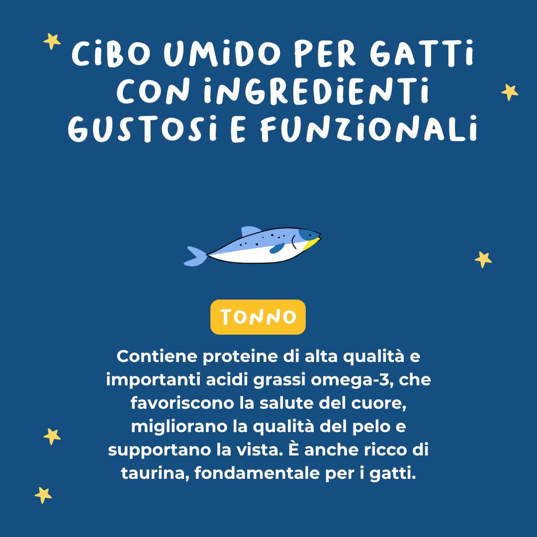 Filetes de atún al 70% | Comida húmeda para gatos sin granos con omega 3 y 6 | Cajas de gato 36 x 70 g naturales | Comida para gatos completa sin cereales | Fabricado en Italia | Hygge Cat