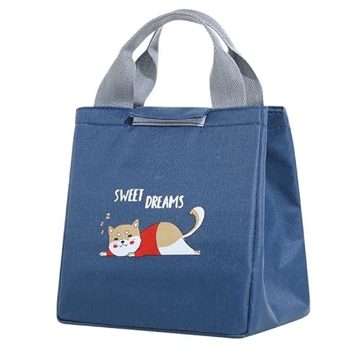 Rhyhorn Lunch Bag for Women, Insulated Leak-Proof Lunch Bag, Cartoon Lunch Box for Girls, Men, Children & Adult Picnic/Work/School Lunch Bag || Multicolor