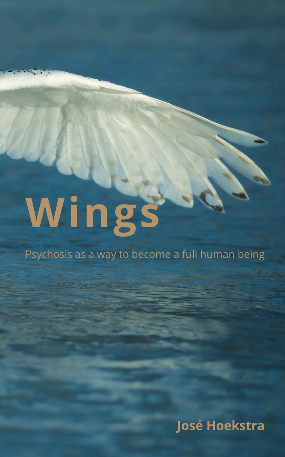 Wings: Psychosis as a way to become a full human being