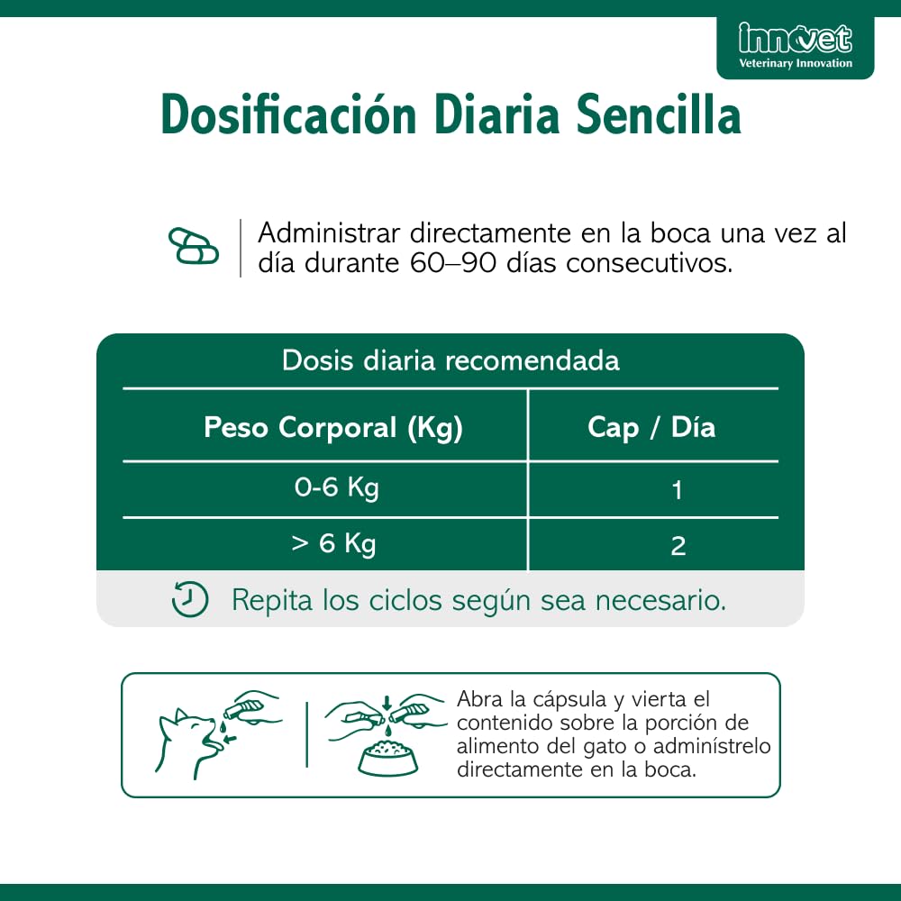 Innovet Condrostress (+) Cat, para gatos adultos y ancianos con rigidez articular, contra la osteoartritis, preserva la capacidad de movimiento, neutraliza los radicales libres, paquete de 30 cápsulas