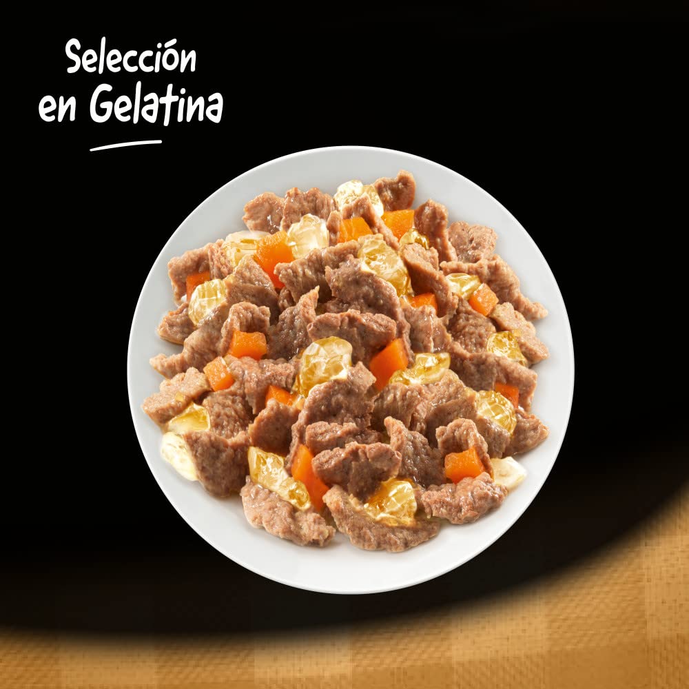 Cesar Comida Húmeda para Perros, Selección Carnes Mixtas en Gelatina, Multipack (13 Packs x 4 Bolsitas x 100g)