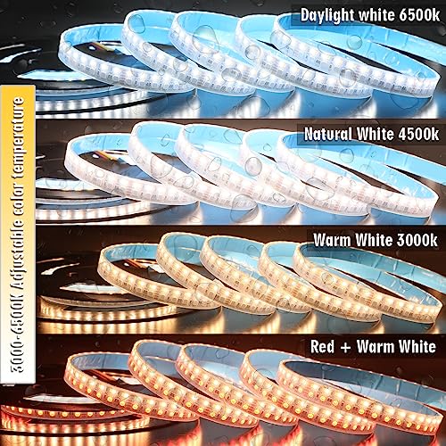 Tira LED RGB CCT impermeable IP67 24V 16.4ft miniatura 6