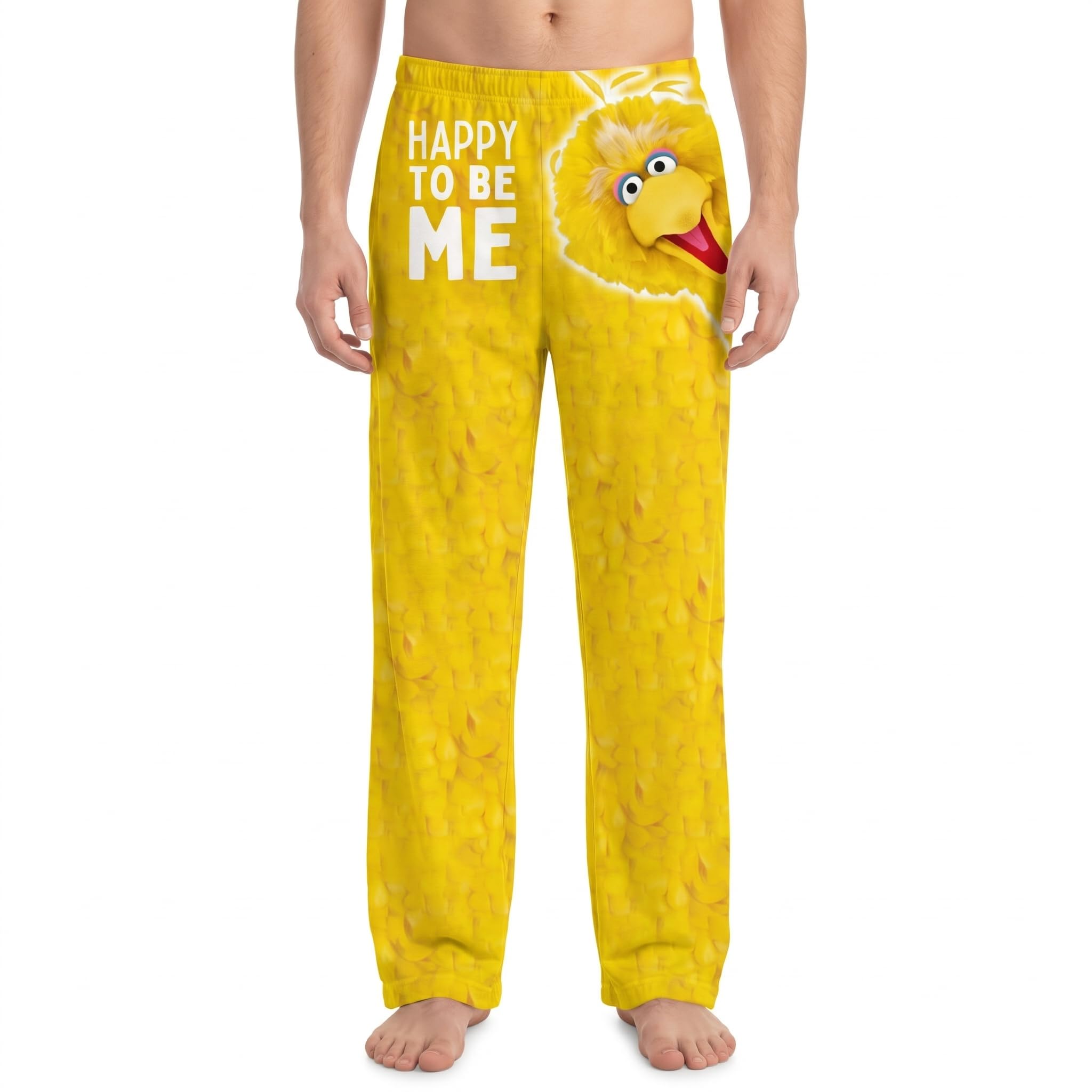 BRIEF INSANITY Sesame Street Character Pajama Pants for Men &amp; Women - Soft Loose-Fit Lounge Bottoms with Side Pockets