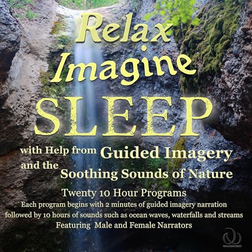 Relax Imagine Sleep by Walkercrest, Bryson Walker episode artwork