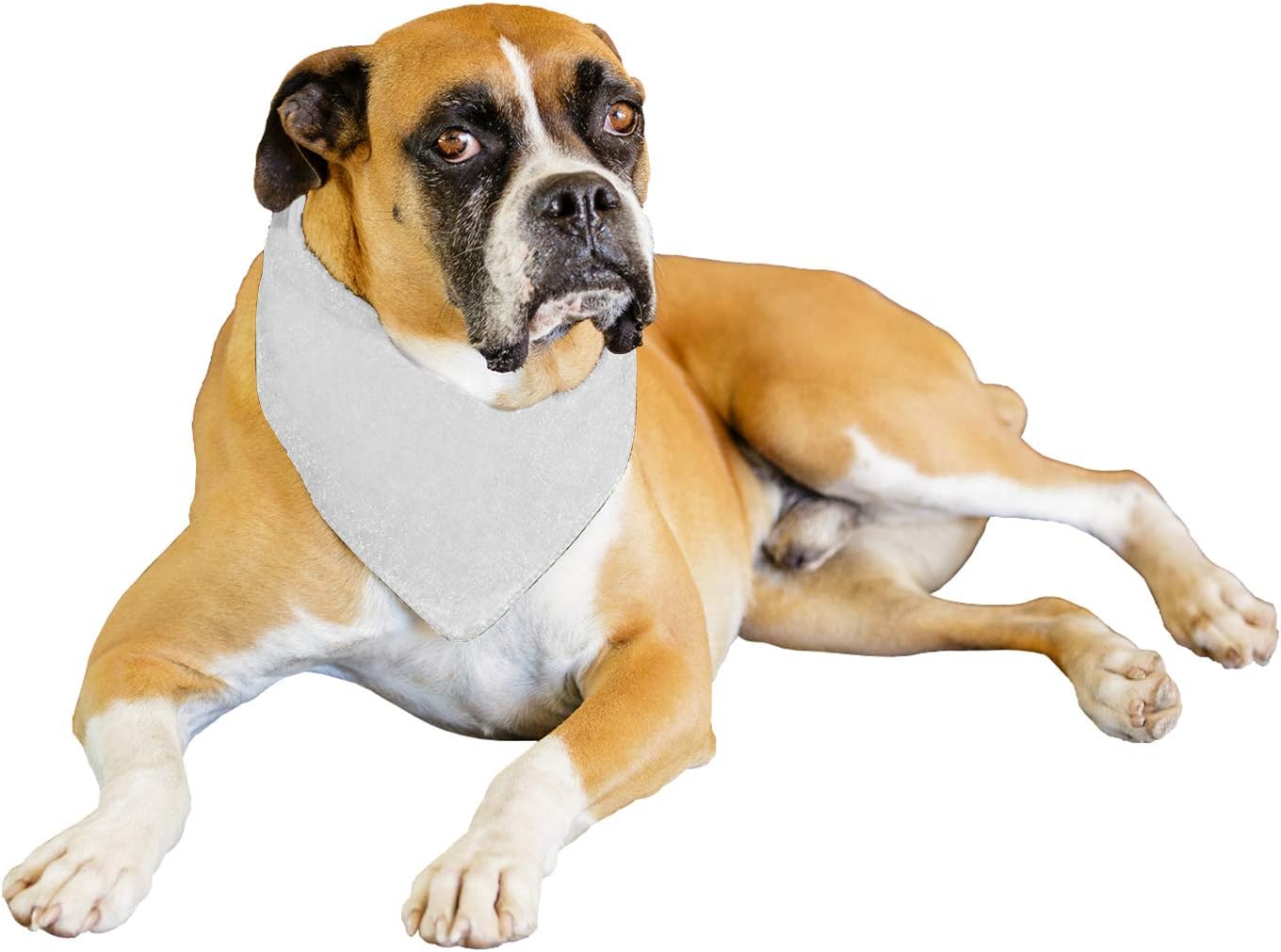 Solid Polyester 12 Pack Dog Neckerchief Triangle Bibs - Extra Large (Blue)
