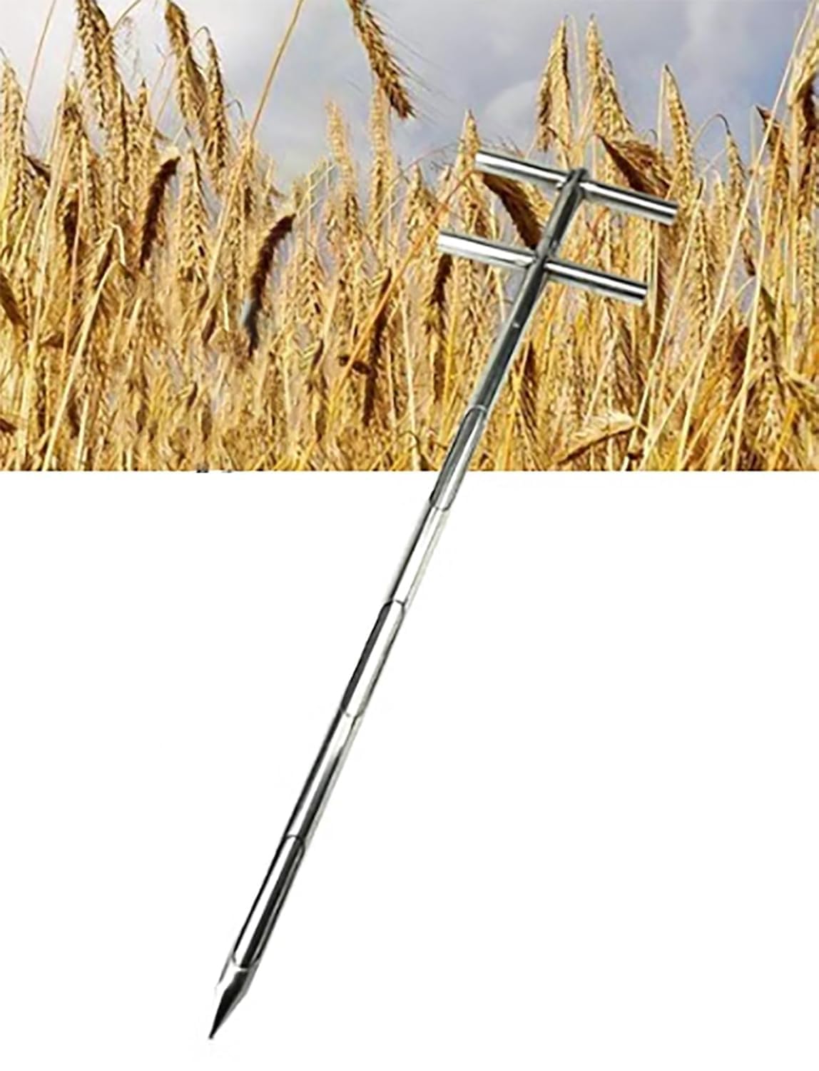 Sonde d'échantillonnage de grains contre la contamination des analyses