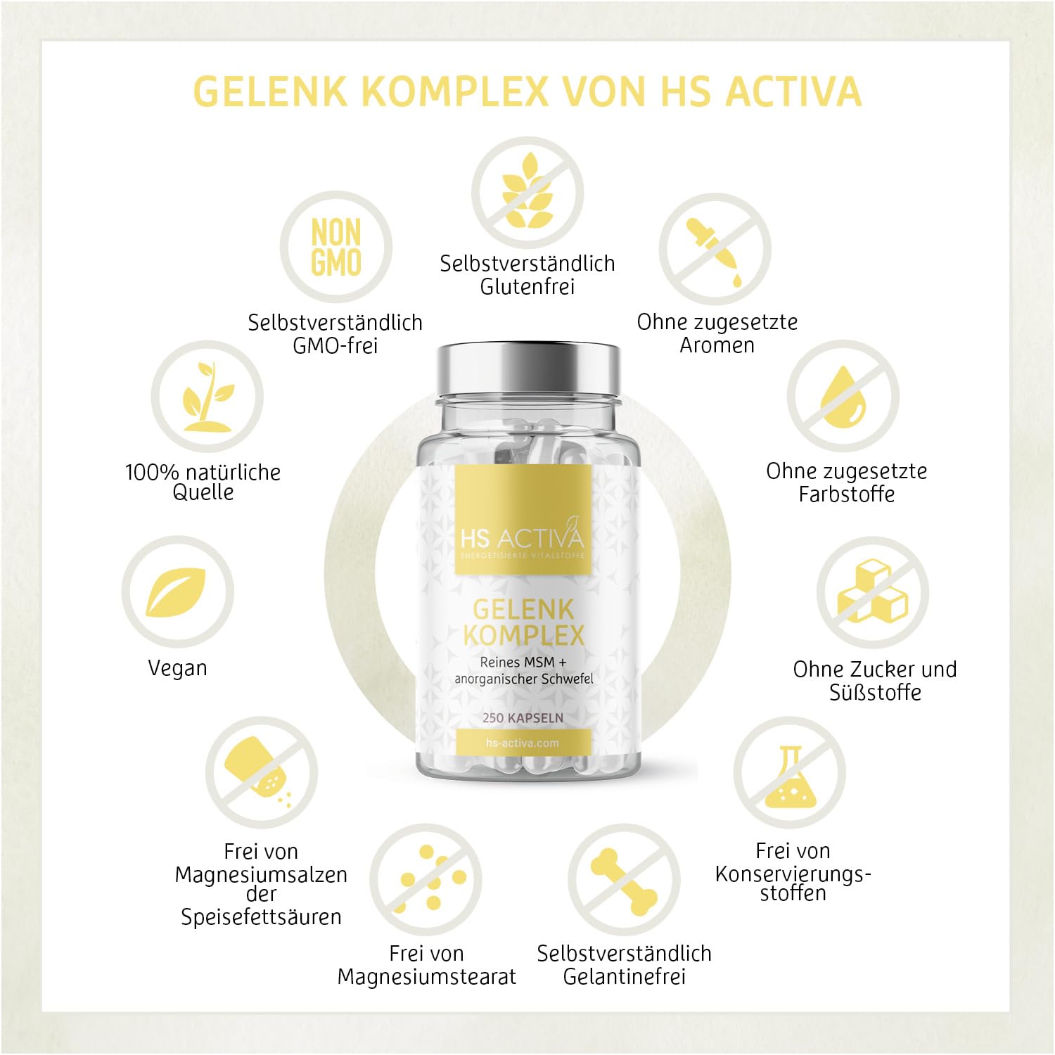 HS Activa Gelenk Komplex 250 MSM Kapseln hochdosiert, Methylsulfonylmethan