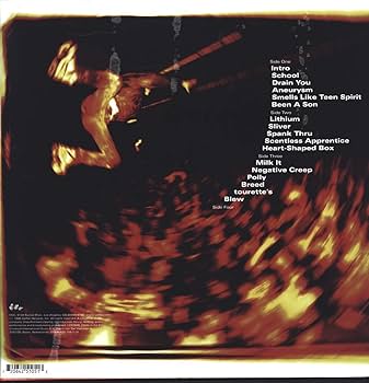 洋楽 NIRVANA THE MUDDY BANKS OF THE WISHKAH Nirvana – From The Muddy Banks Of The Wishkah – Vinyl (LP