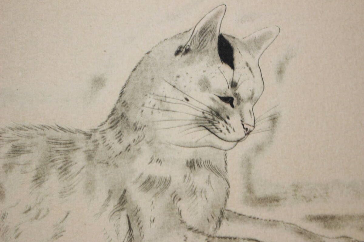 Amazon.co.jp: 藤田嗣治 エスタンプリトグラフ 猫十態より「横たわる猫 
