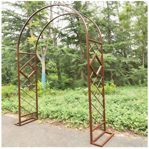 Arche de mariage et de jardin en métal marron pour grande pergola