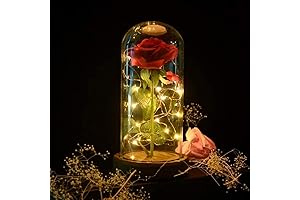 SW Preserved Rose in Resin
