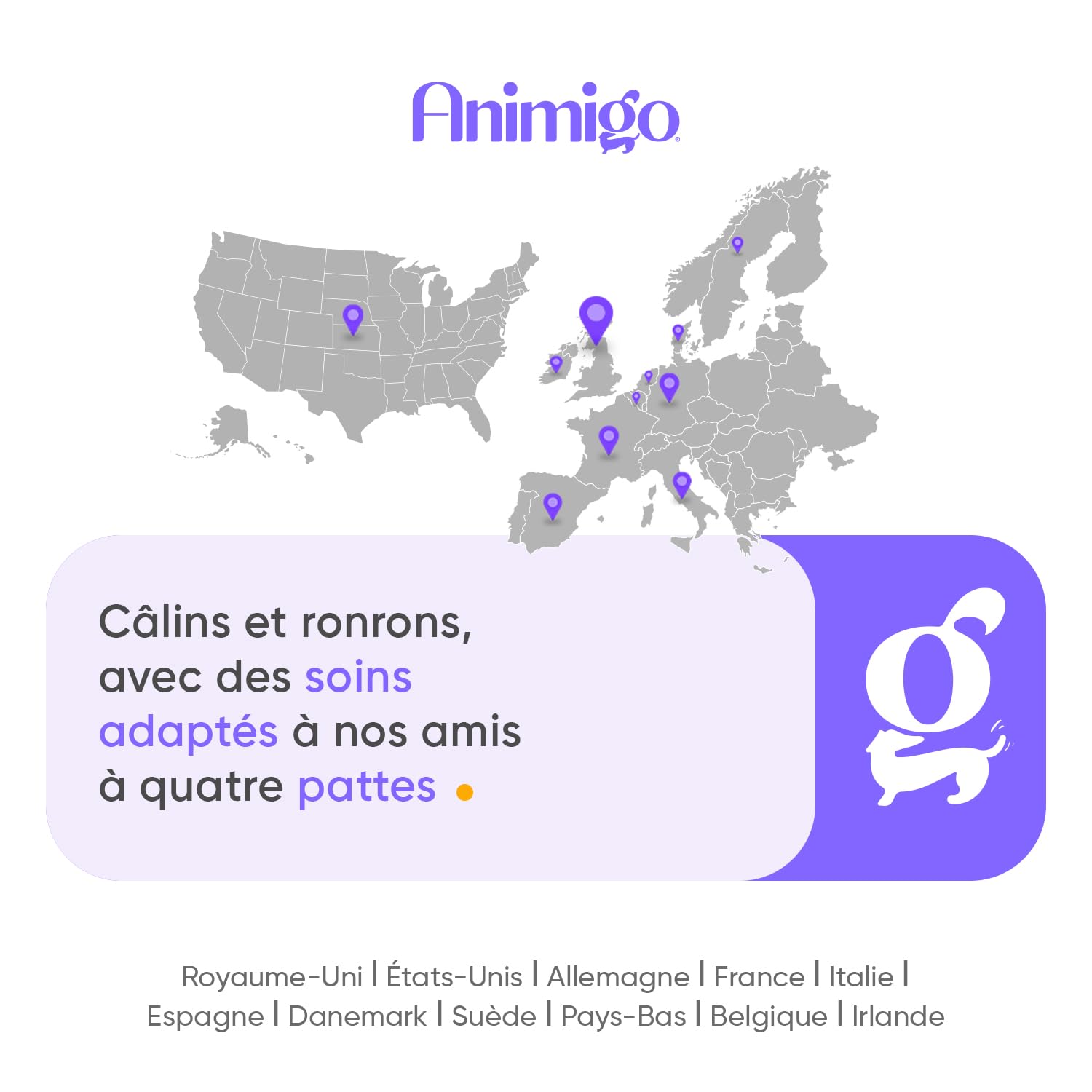 Multivitamines et Minéraux Chien 365 Comprimés - 12 Vitamine pour Chien avec 6 Minéraux, Goût Poulet - Vitamine C, D, B, A, E, Calcium, Fer, Zinc, Cuivre, Sodium, Iode - pour Toutes Tailles et Races