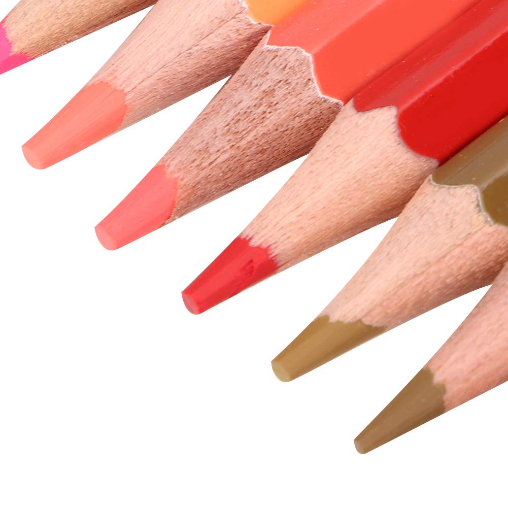 Crayons de Couleur, Kit de Dessin en Coquille de Séquoia, Crayons de Dessin avec 120 Pièces pour Croquis, Fournitures D'art Scolaires