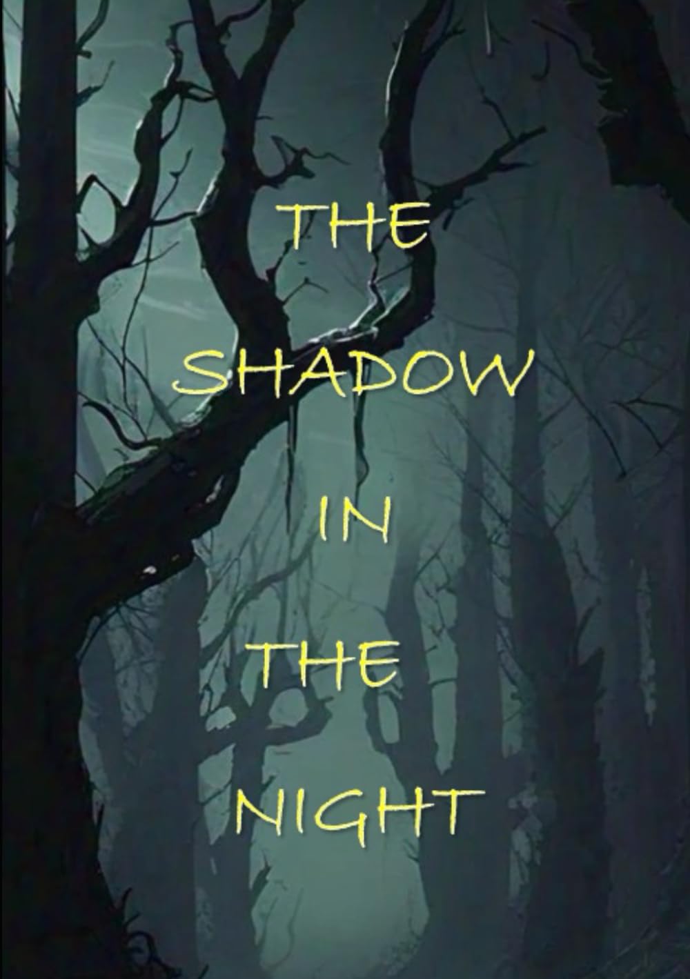 The Shadow in The Night