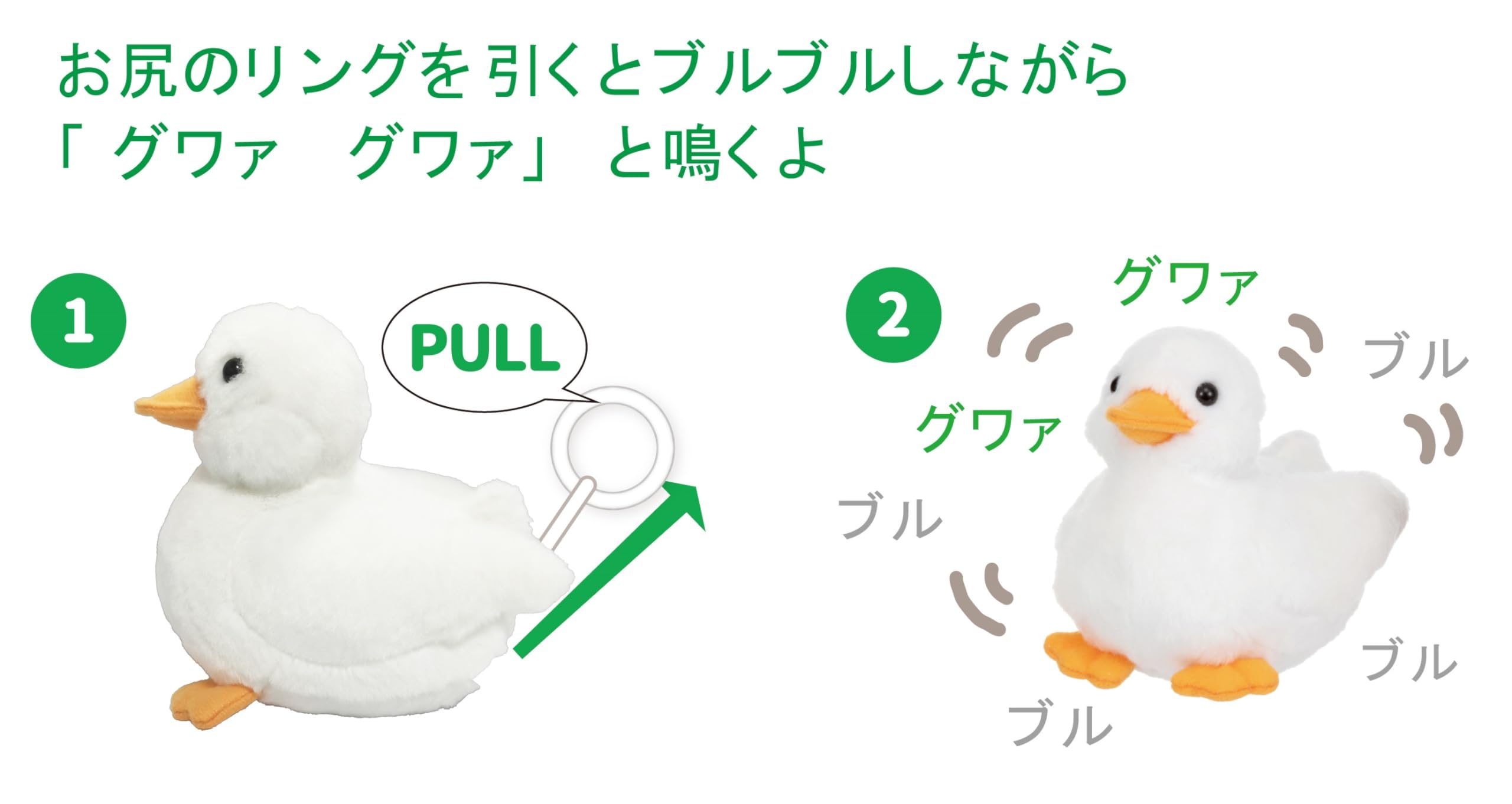 【yuliさま専用商品】感謝セール！コールダック用飼育飼料セット 2種5ｋｇずつ 三晃商会 チンチラ基本飼育セット | チャーム