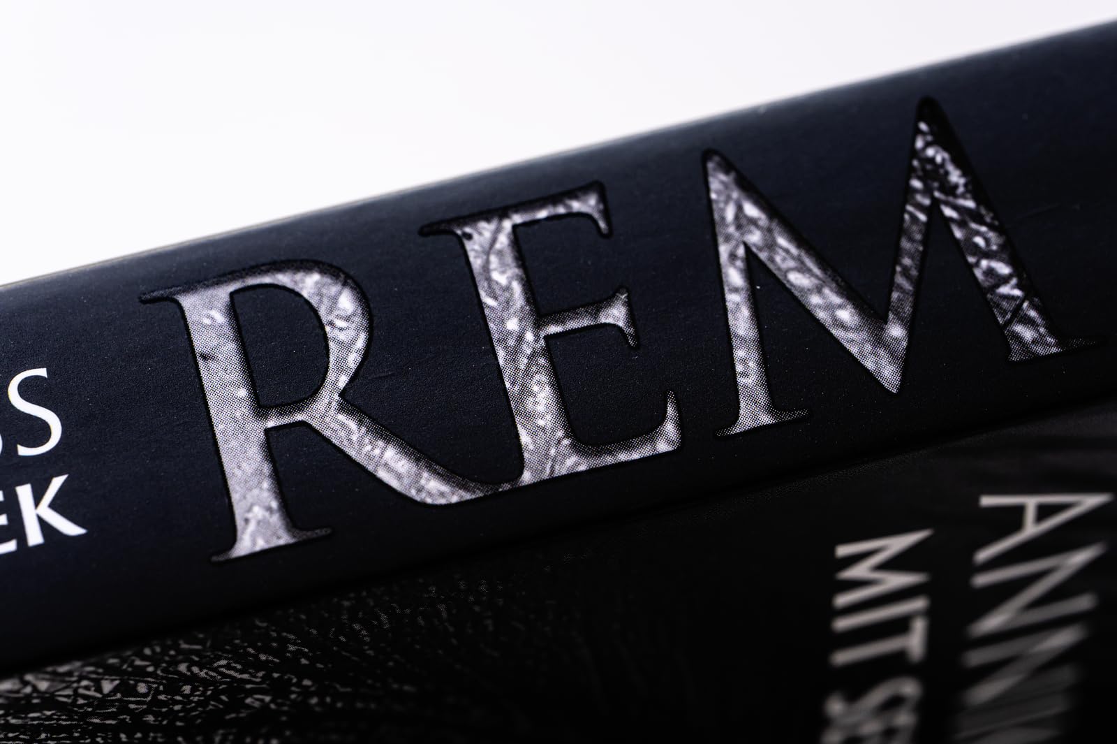 REM: Horror-Thriller | Psychothriller-Bestseller-Autor Sebastian Fitzek meets Horror-Queen Annika Strauss. Nervenkitzel garantiert.