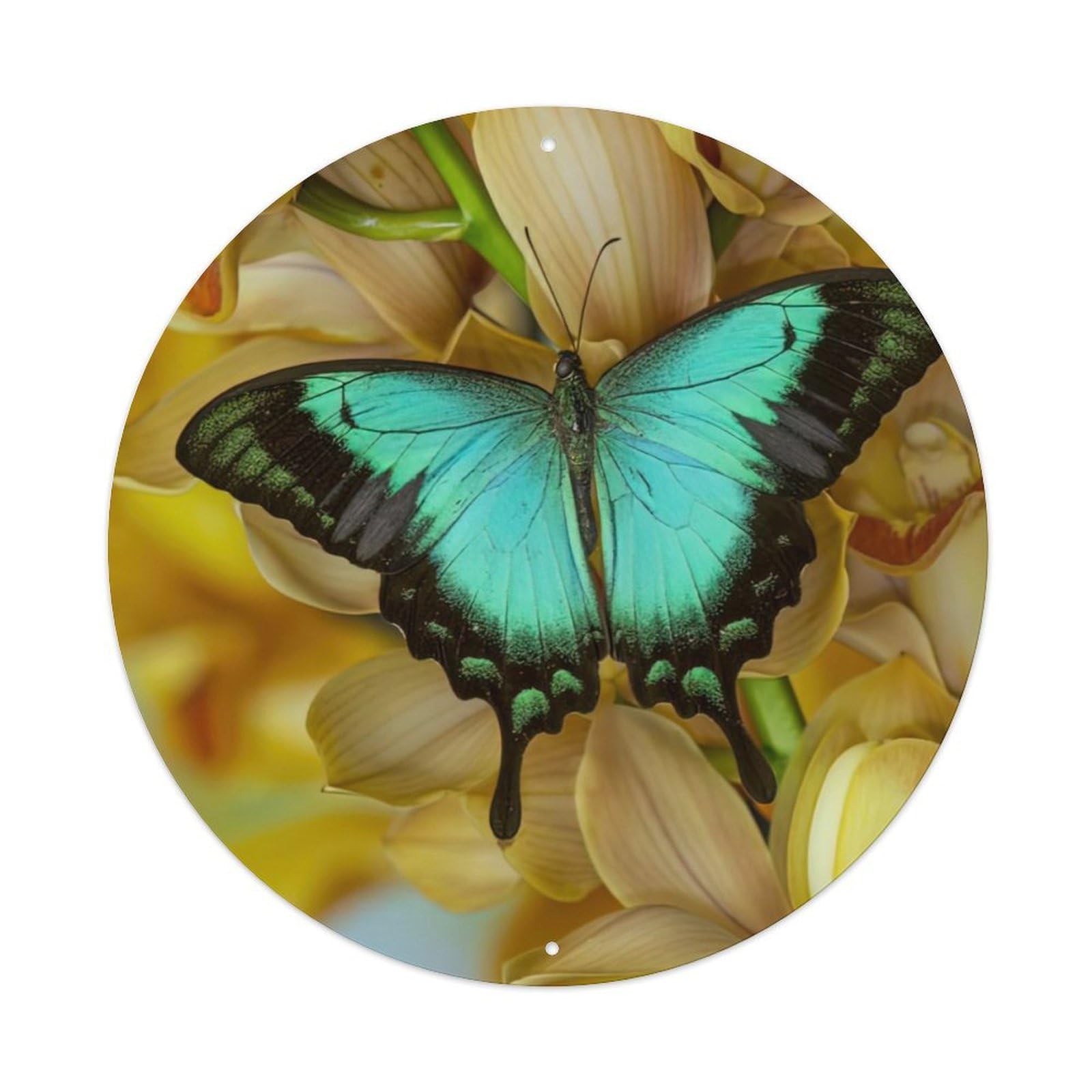 Insect Artwork Malabar Band Peacock Butterfly Vintage Metal Tin Sign Plaque Wall Decor for Cafe, Club Bar, Office, Garden Metal Poster 8x8Inch