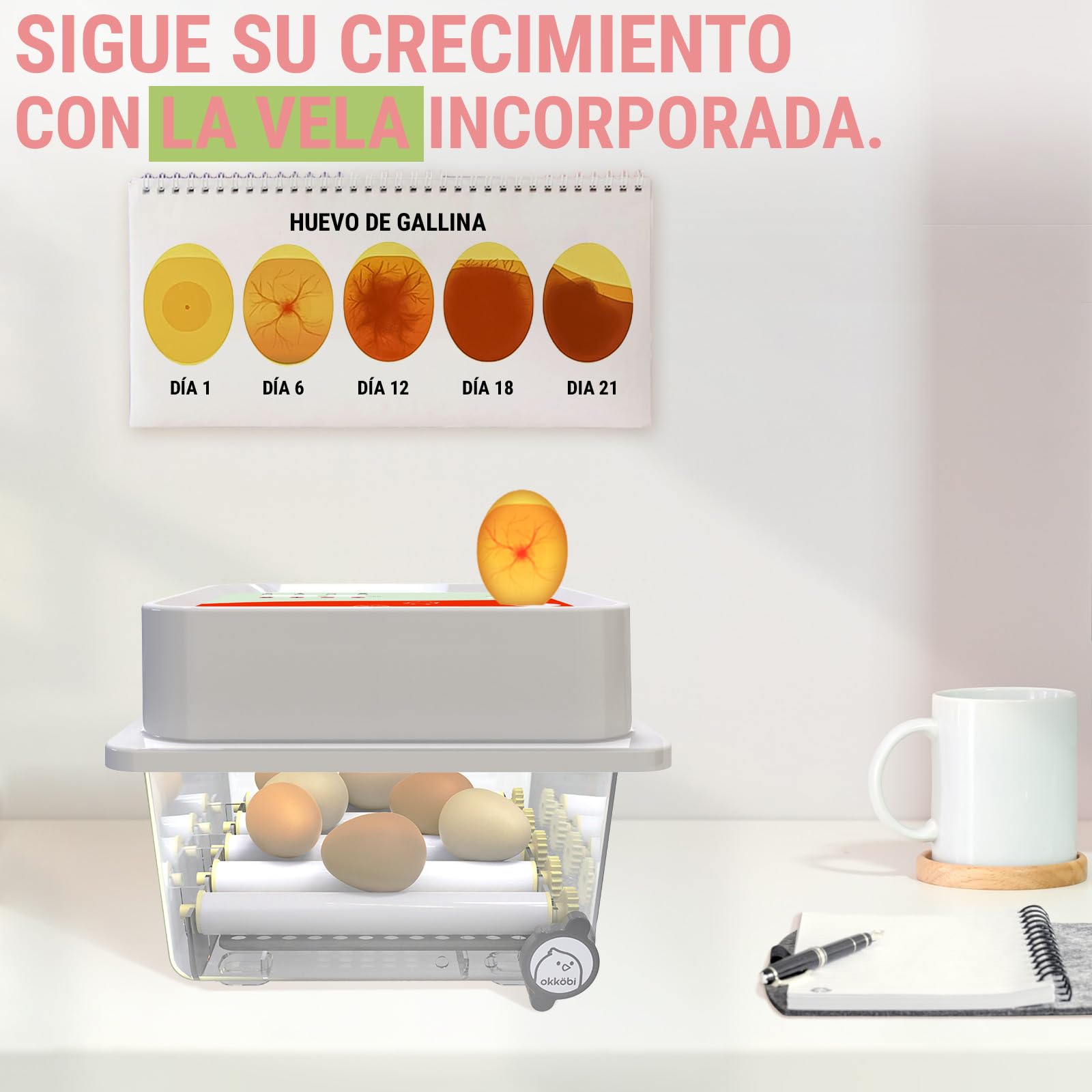 OBI-12 Incubadora Automática – Incubadora de huevos para 12 huevos con Volteo Automático - Incubadora huevos gallina, codorniz y pato - Naranja