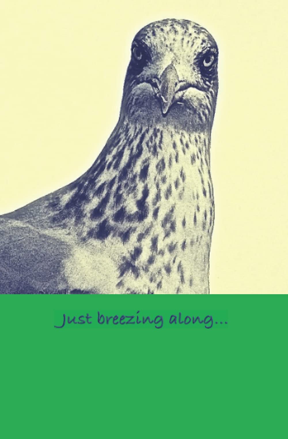 Gavin the Gull - Just breezing along...