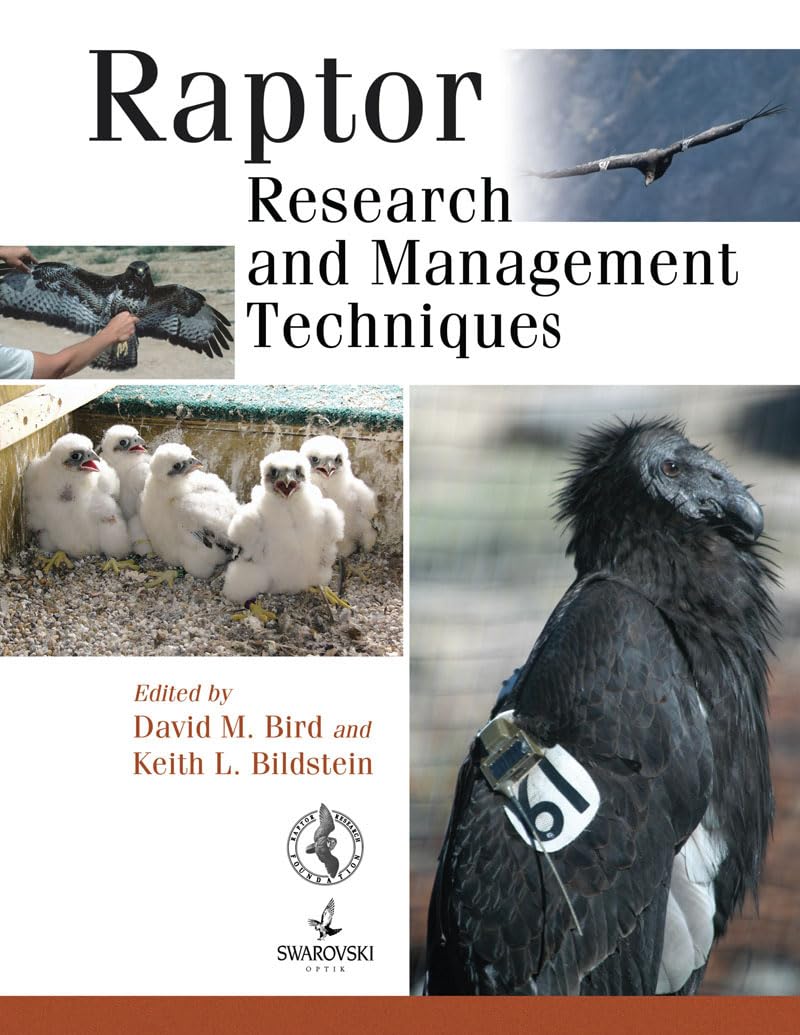 Raptor Research and Management Techniques: Bird, David M