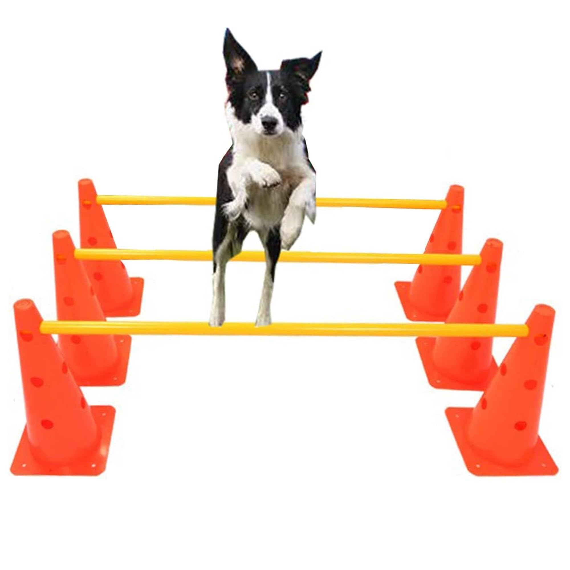 Dog Agility Training Set – Adjustable Hurdle Kit for Canine Fitness & Obedience | Portable Obstacle Course for Small, Medium & Large Dogs | Indoor & Outdoor Agility Exercise Equipment