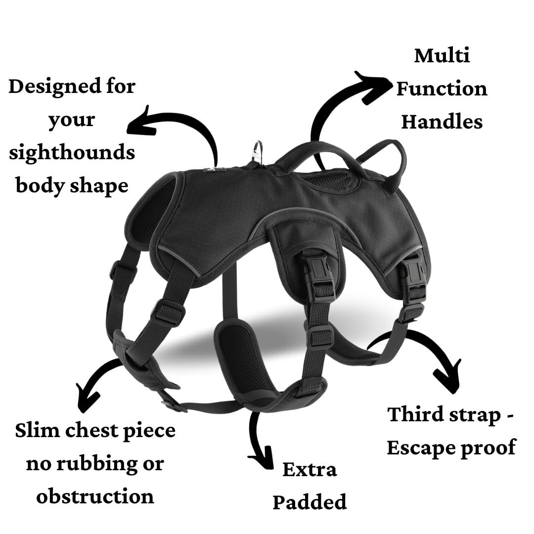 Snootiful Hound Sighthound Harness for Greyhounds Whippets & Lurchers, Escape Proof Padded 3-Point Dog Harness, Secure Fit - Image 3