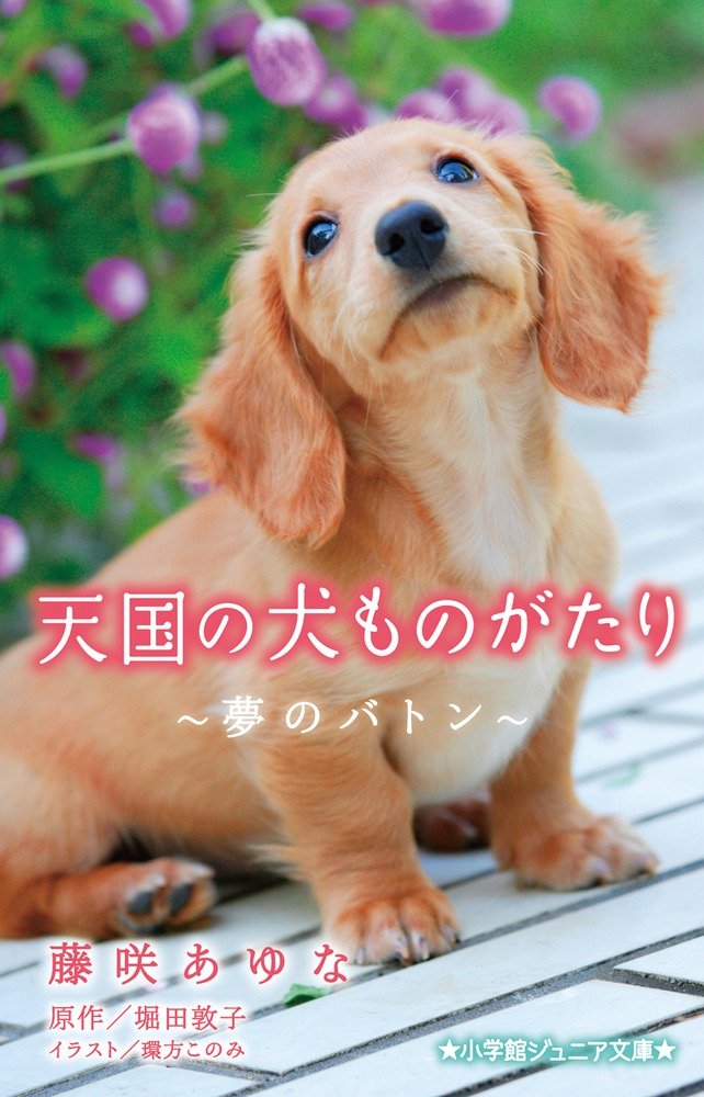 【中古】 天国の犬ものがたり～ずっと、ずっと、一緒に～/小学館/堀田敦子 児童書 天国の犬ものがたり ～ずっと一緒～ - メルカリ