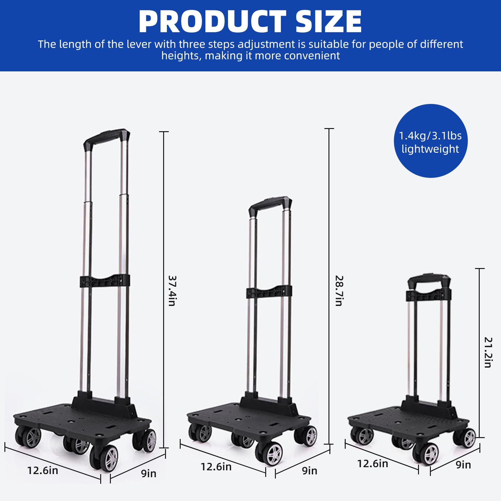 https://m.media-amazon.com/images/I/61I4ZF+W6-L.jpg