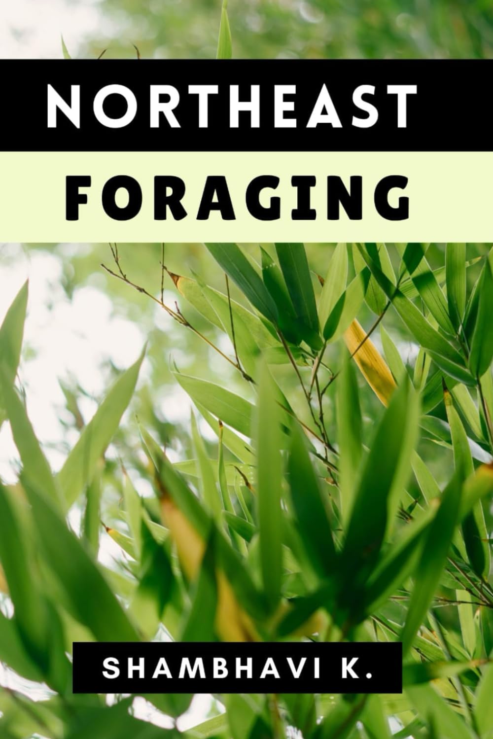 Northeast Foraging: A Guide to Wild Harvests of Edible Plants, Mushrooms, and Berries