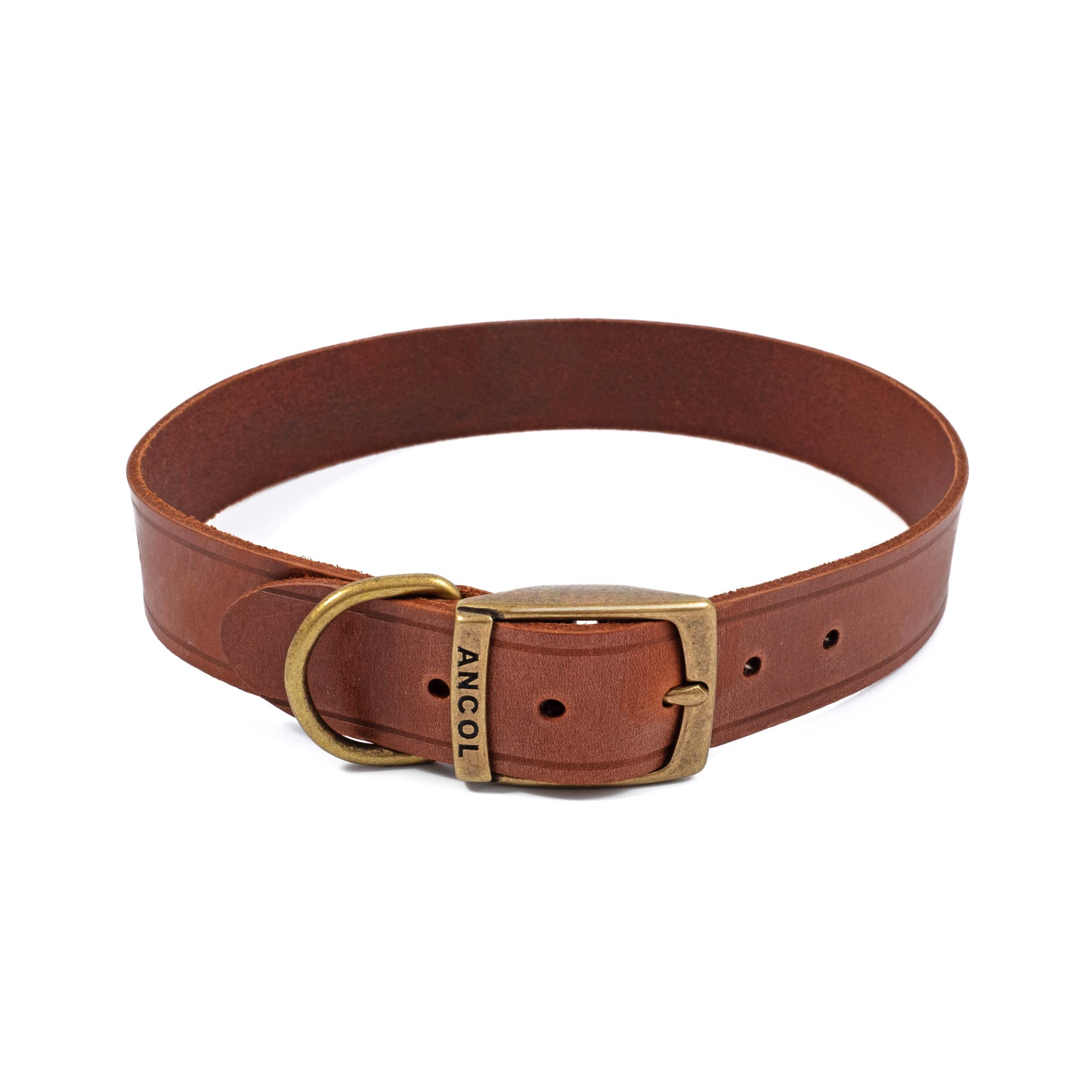 Ancol Latigo Flexible Stretchy Dog Collar Chestnut Leather Pet Training Accessory with Antique Gold Fixings - Soft and Resilient - Size 7 - 50-59 cm