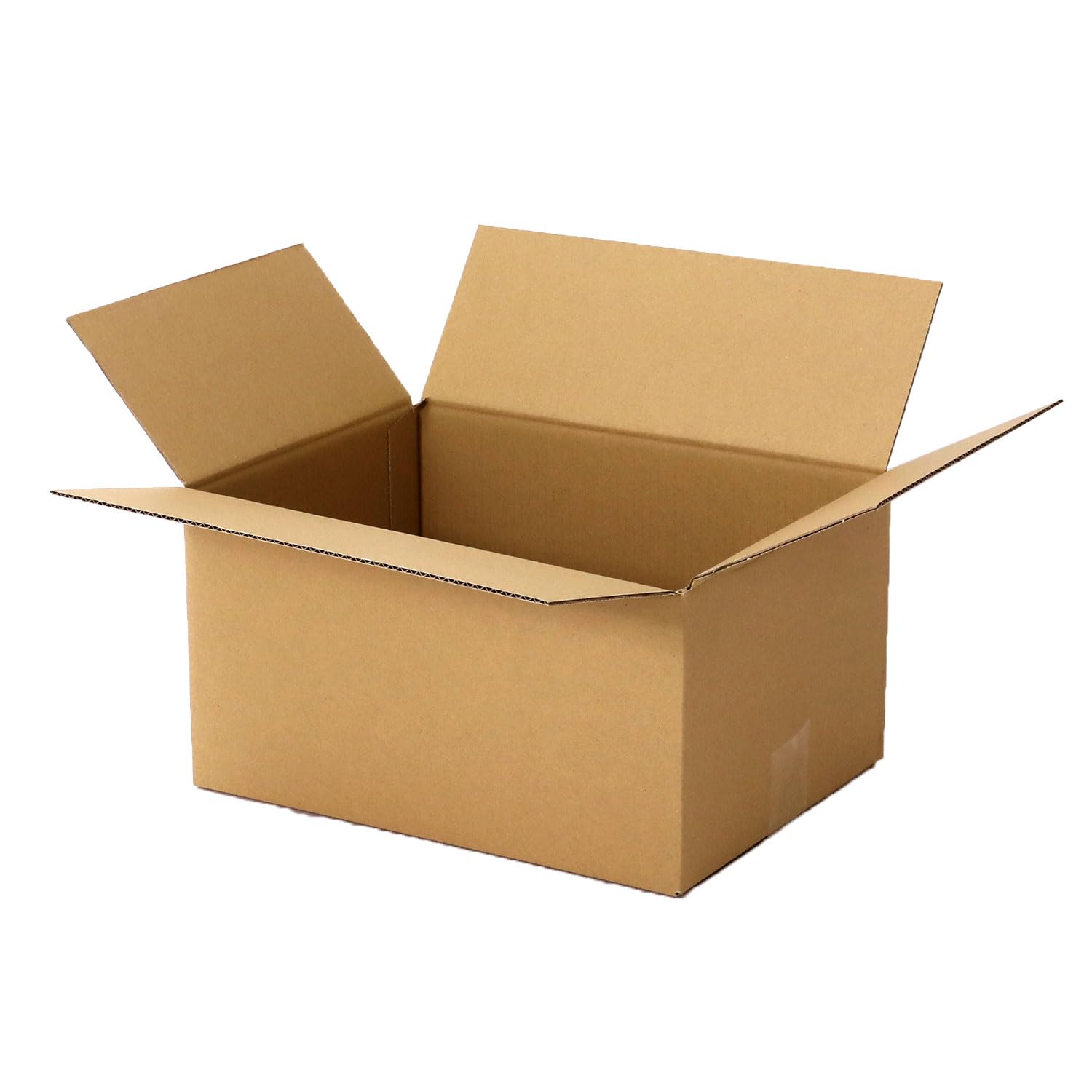 Earth Cardboard ID0146 80 Formato A4, 10 Pezzi, Sagawa M Size, Scatola di Imballaggio Bagagli