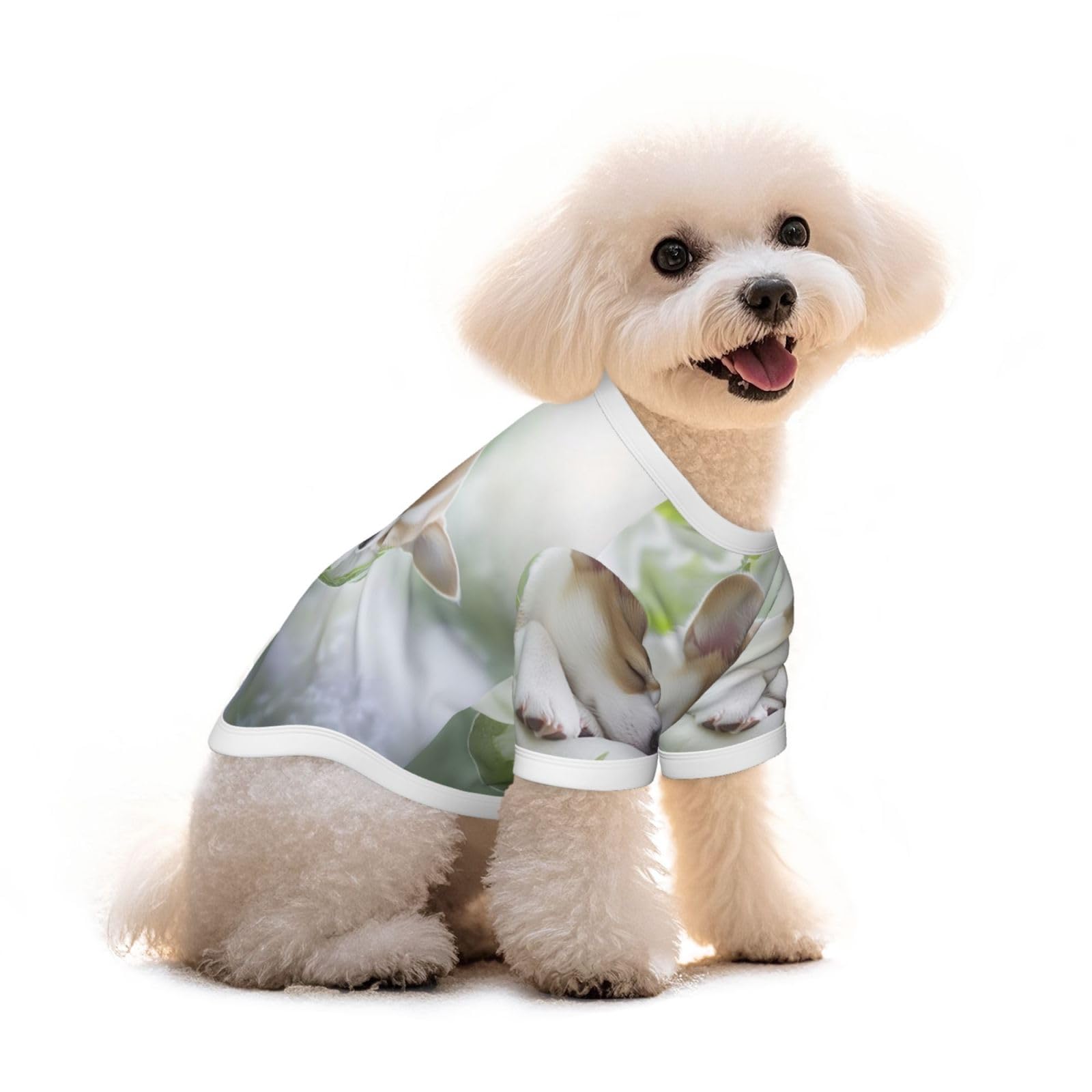 T-shirt pour chien en coton léger idéal pour les sorties M
