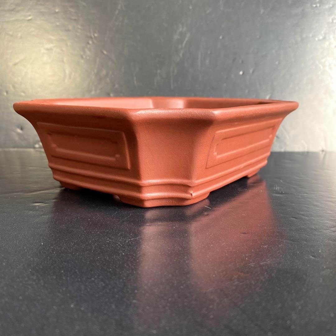 盆栽　大明萬暦年製　色絵雲龍鳳凰　鉢　中国鉢　盆栽小鉢 盆栽鉢 ミニ盆栽 盆栽 大明萬暦年製 色絵雲龍鳳凰 鉢 中国鉢 盆栽小鉢 盆栽鉢 ミニ