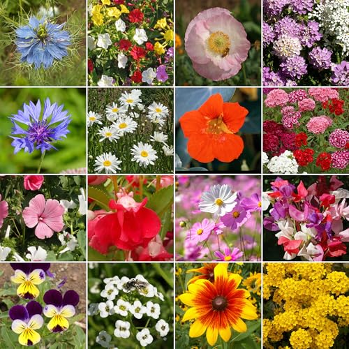 Image of Ferry-Morse Cottage Garden Bulk Wildflower Seeds, 400,000+, 1 lb