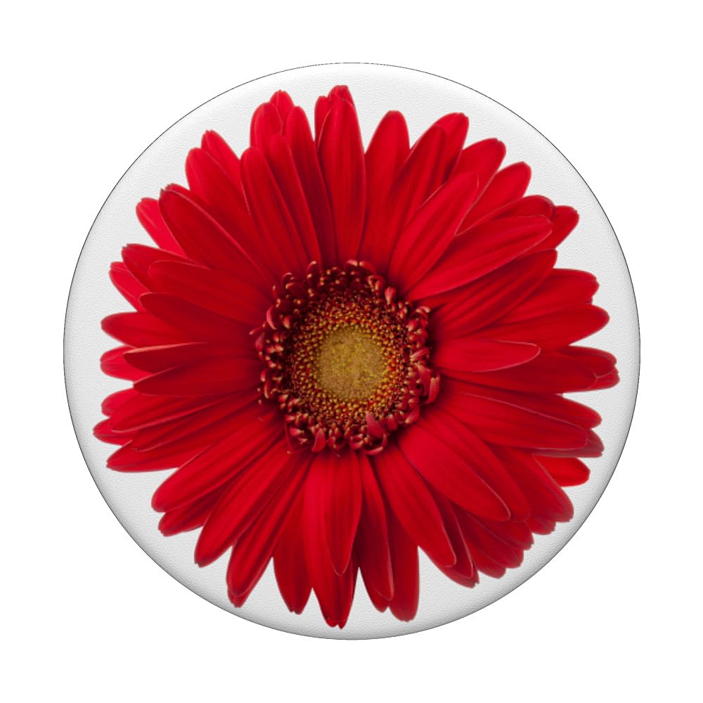 Cute Colorful Red Daisy Margarita Flower Floral White Base PopSockets Swappable PopGrip