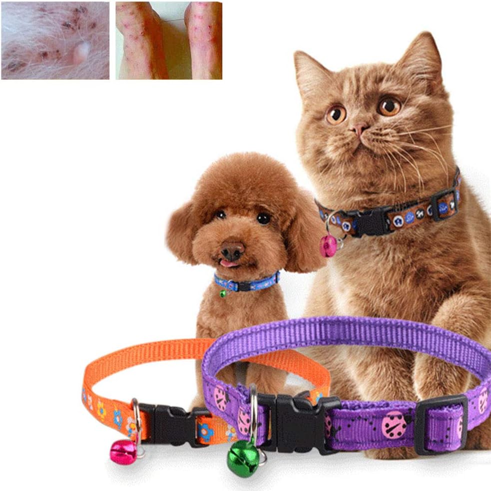 braccialetto repellente per zecche per gli esseri umani