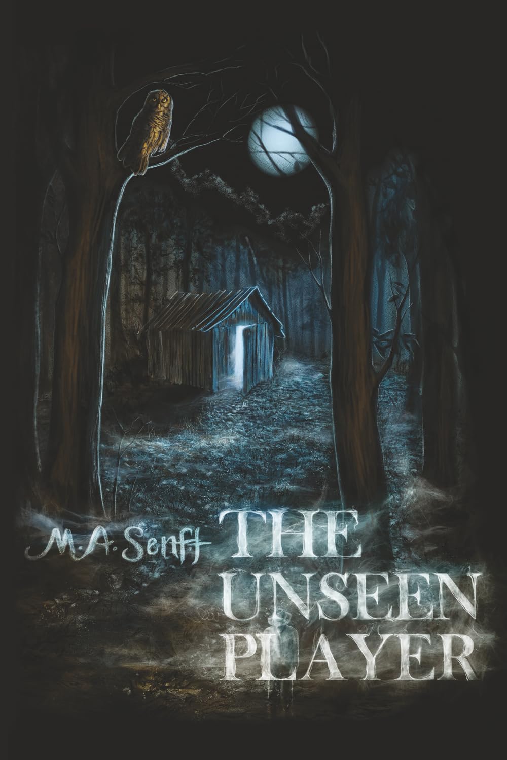 The Unseen Player      Paperback – February 26, 2024