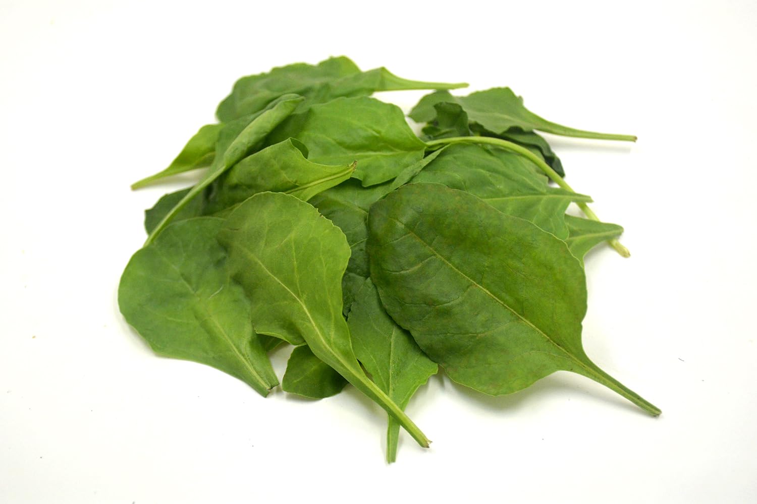 Trikaya Spinach - Baby, 100 g-picture-11