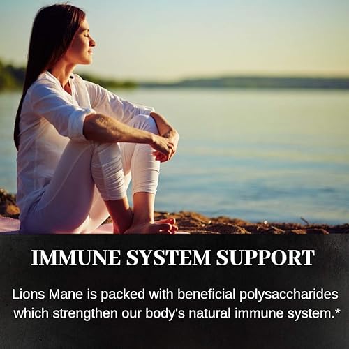Miniatura 6 de Hongos melena de león, 60 cápsulas | 500 mg cada uno, factor de crecimiento nervioso (NGF) y nootrópico (Focus, memoria, BDNF), extracto de agua