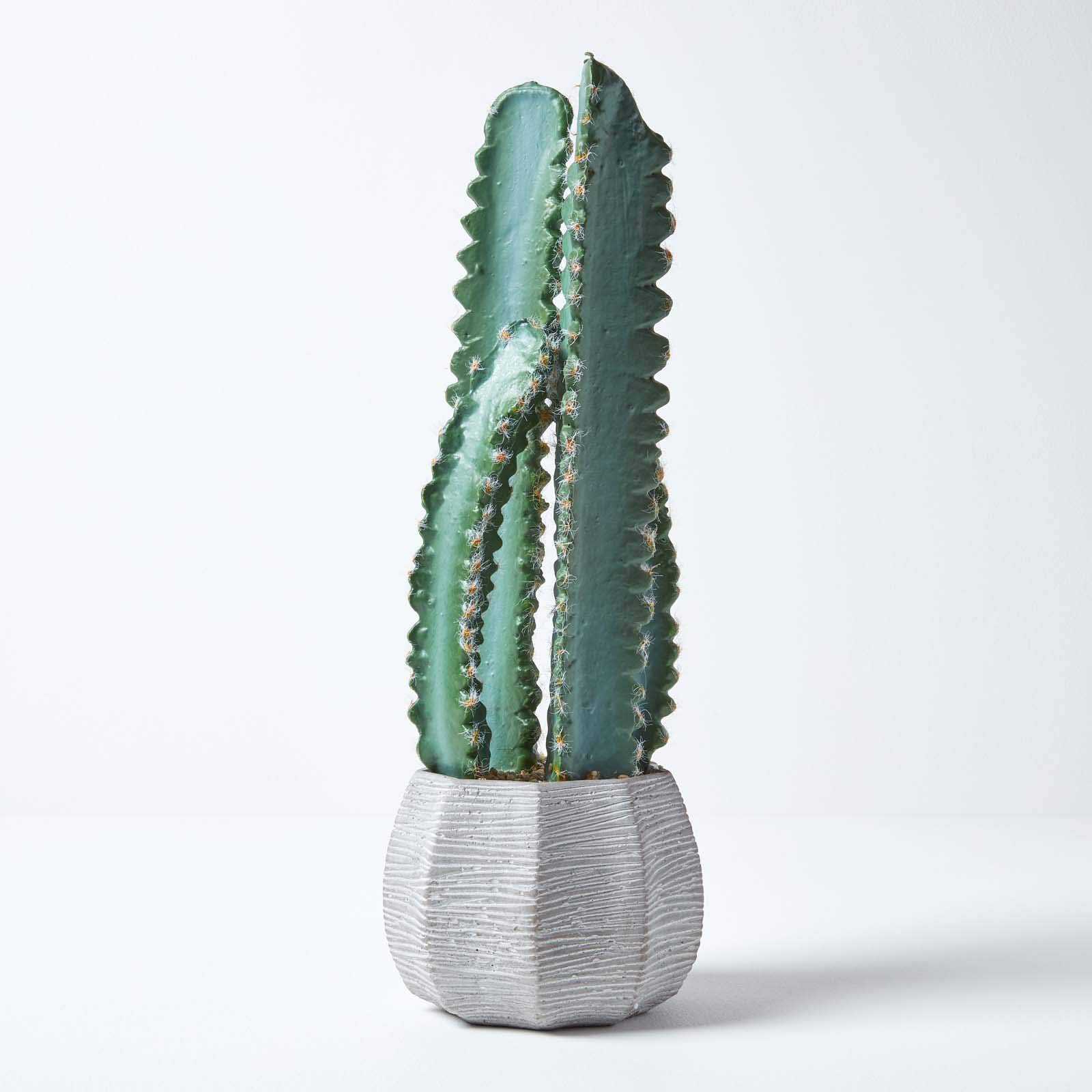 Künstlicher Kaktus 50,8 Cm Mit Topf – Pflegeleichte Deko Für Wohnung, Büro, Garten (Innen & Außen)