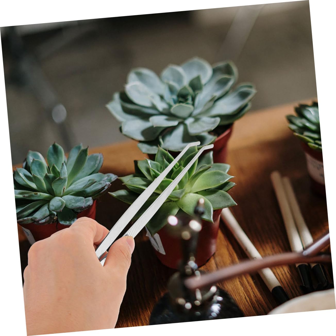 Garten Pinzette Für Sukkulenten - Präzisions Werkzeug Für Pflanzen