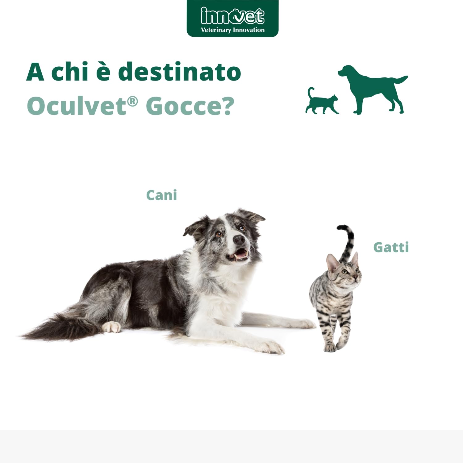 OCULVET GOCCE 10ML
