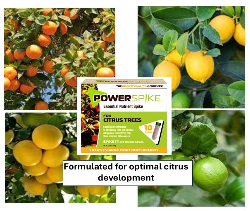 Fertilizante en barra para árboles cítricos Power Spike miniatura 2
